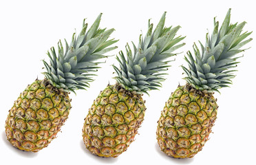 Pineapples Isolated on White Background.