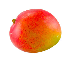 the mango fruit isolated with clipping path