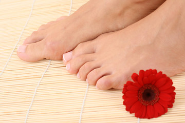 Obraz na płótnie Canvas close-ups of female beautiful legs - beauty treatment