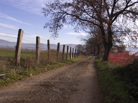 chemin de campagne