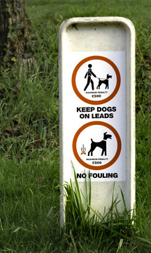 Advice to dog owners