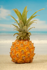 Pineapple on an exotic beach with blue and cloudy sky.