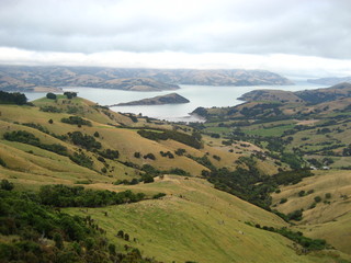 South Island, NZ [near Lyttelton]