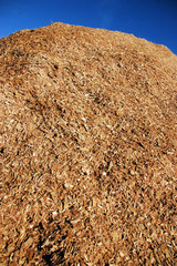 Wood chip pile