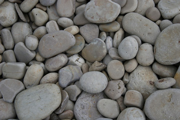 Limestone Stone Beach