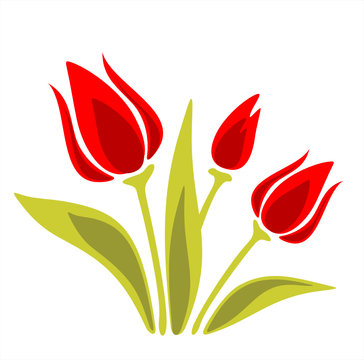 red tulips on white background clip art preview