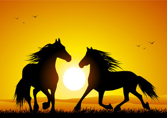 Fototapeta na wymiar Wild horse at sunset