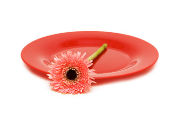 Red plate with flower isolated on the white