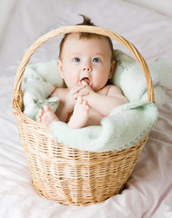 Baby in basket