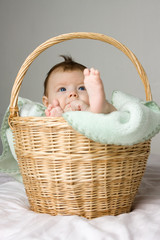 Baby in basket