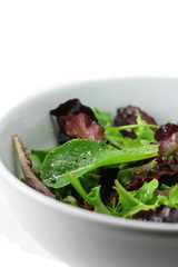 Isolated Green Salad