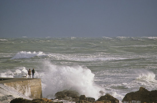 TEMP&Ecirc;TE