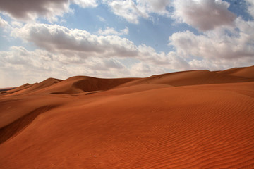 Fototapeta na wymiar The Desert (Sultanate of Oman / Middle East)