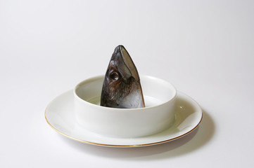 head on a dish