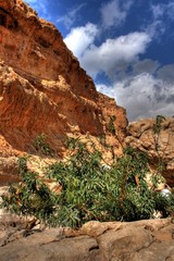 Canyon in the desert of the sultanate Oman near Muscat