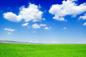 Fototapeta na wymiar zielone pola i piękne białe chmury