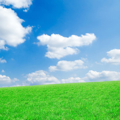 Obraz premium field and clouds