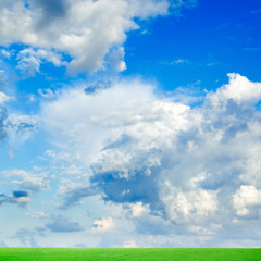 Fototapeta na wymiar fields on a background of the blue sky and white clouds
