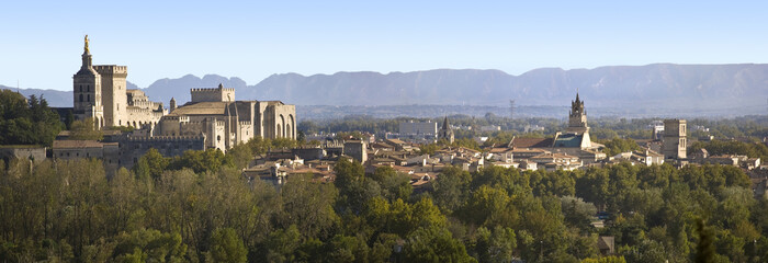 Vue panoramique sur Avignon et le Palais des Papes - obrazy, fototapety, plakaty