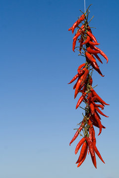 red hot chili peppers drying