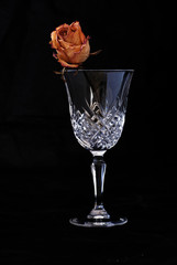 fleur séché
