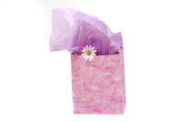Shopping or gift bag