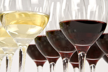 Wine Tasting