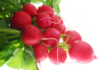 red radish