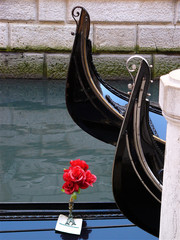 venezia