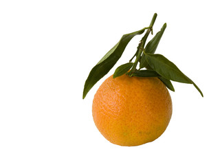 Mandarin orange with fresh green leaves, isolated on white.