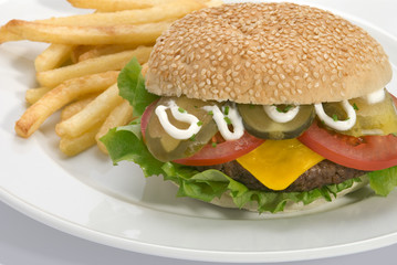 Garnished burger with fries on a white plate