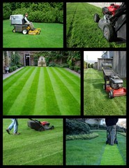 lawn maintenance