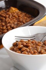 molasse beans