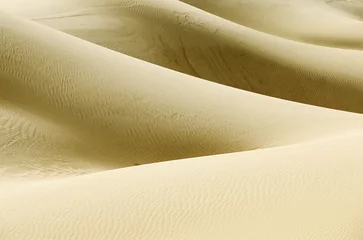 Fotobehang Desert dunes landscape, sahara, Algeria, Africa. © rcaucino