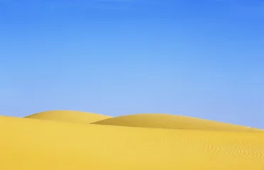 Abwaschbare Fototapete Desert dunes landscape, sahara, Algeria, Africa. © rcaucino