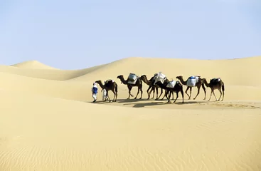 Fototapete Rund KAMEL-Wohnwagen © rcaucino