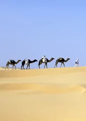 Foto op Canvas CAMEL caravan © rcaucino