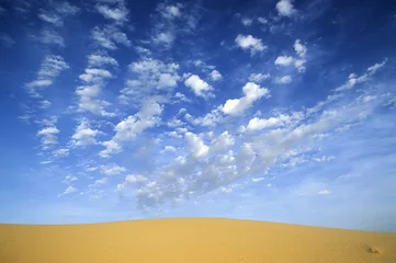 Poster Desert dunes landscape © rcaucino