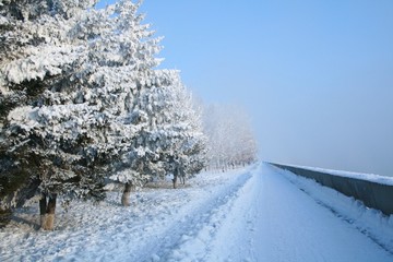 Snow-covered path