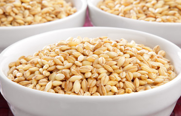 Several bowls of organic barley on purple surface.