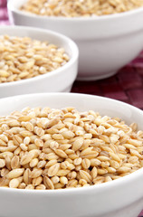 Several bowls of organic barley on purple surface.