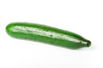 isolated fresh green cucumber on the white background