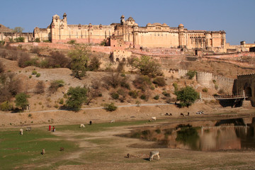Fototapeta na wymiar Amber Fort Jaipur India Water Reflection