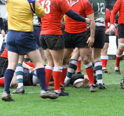 rugby