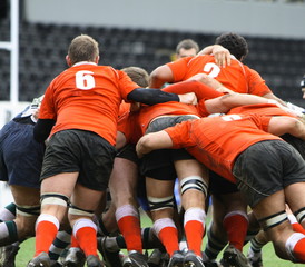 rugby scurm