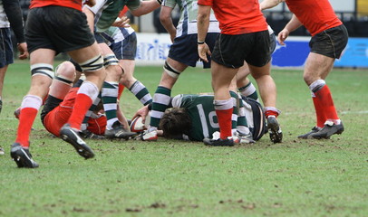 rugby