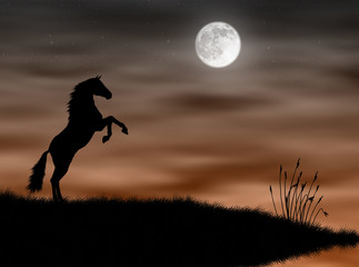 Cavallo al chiaro di luna - obrazy, fototapety, plakaty