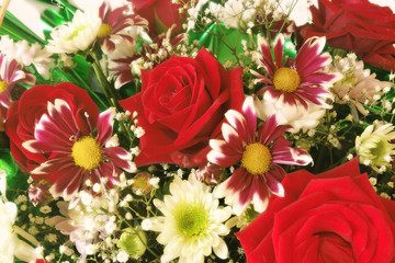 colorful flower background with soft focus effect