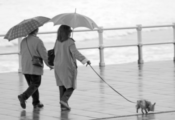 Mujeres,paraguas y perro