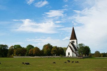 Fototapeta na wymiar wypasu owiec granic kościoła